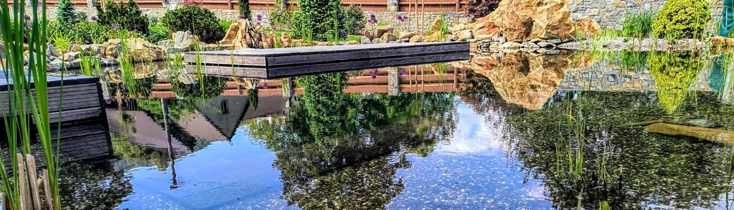 IMG_20260527_093912314_HDR~2